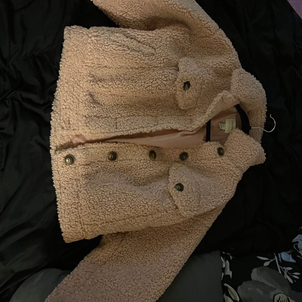 teddy coat